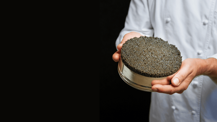 Chef's hands plating caviar simply on a warm plate, kitchen-light environment