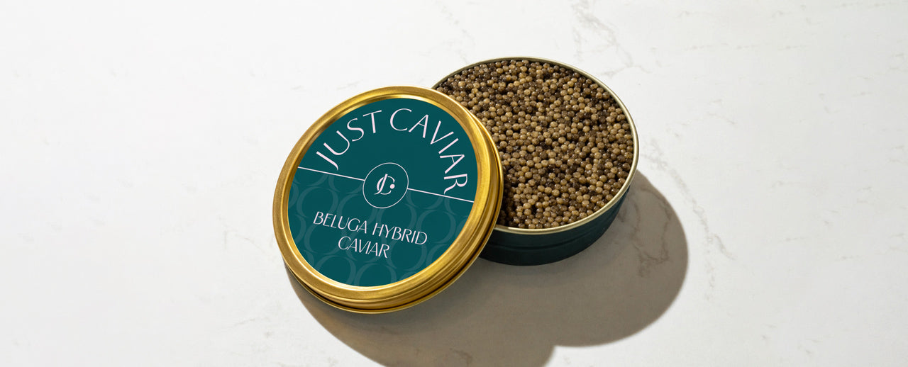 Beluga Hybrid